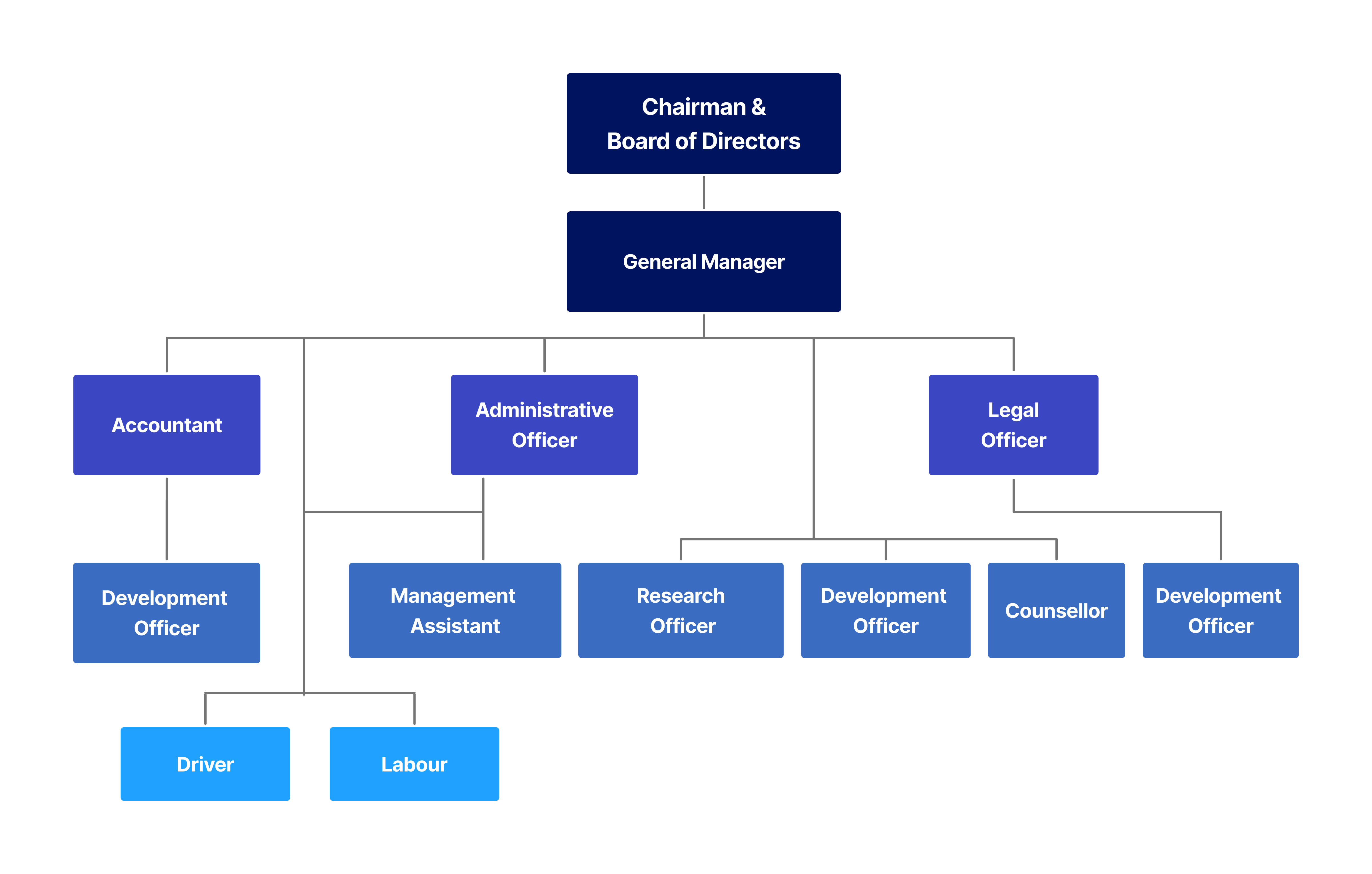 Organizational Chart